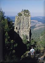 Pinnacle Rock